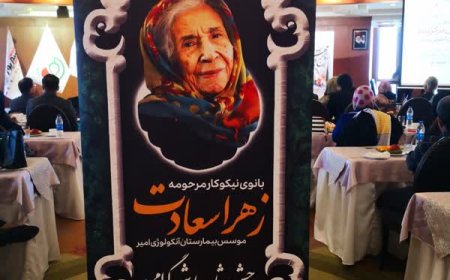 ویدئو| توضیحات رییس داشگاه علوم پزشکی شیراز پیرامون مشکلات بیماران مبتلا به سرطان