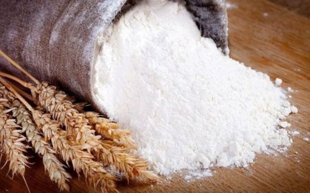 آرد با طعم اسید فولیک ، بزودی در نانوایی‌های کشور