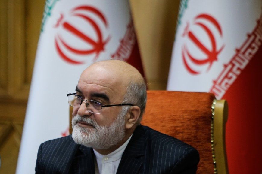 معاون قوه قضاییه: اموال بابک زنجانی شناسایی و با احتساب تورم وارد کشور شد