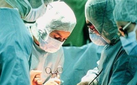 شیراز ، باز هم شاخص های علمی پزشکی را جابجا کرد
