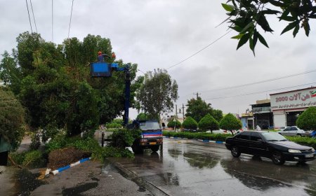 روزهای پرکار سیمبانان برق هرمزگان برای پایداری شبکه