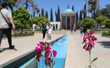 حضور خلوت دوست، گزارش تصویری آرامگاه سعدی