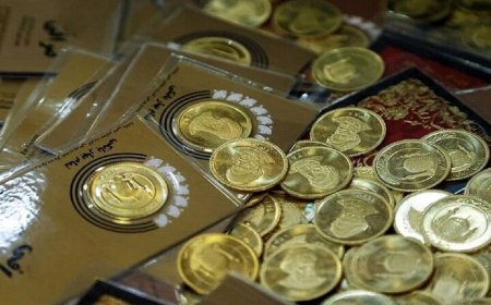 حراج سکه ،  کاسبی دولت