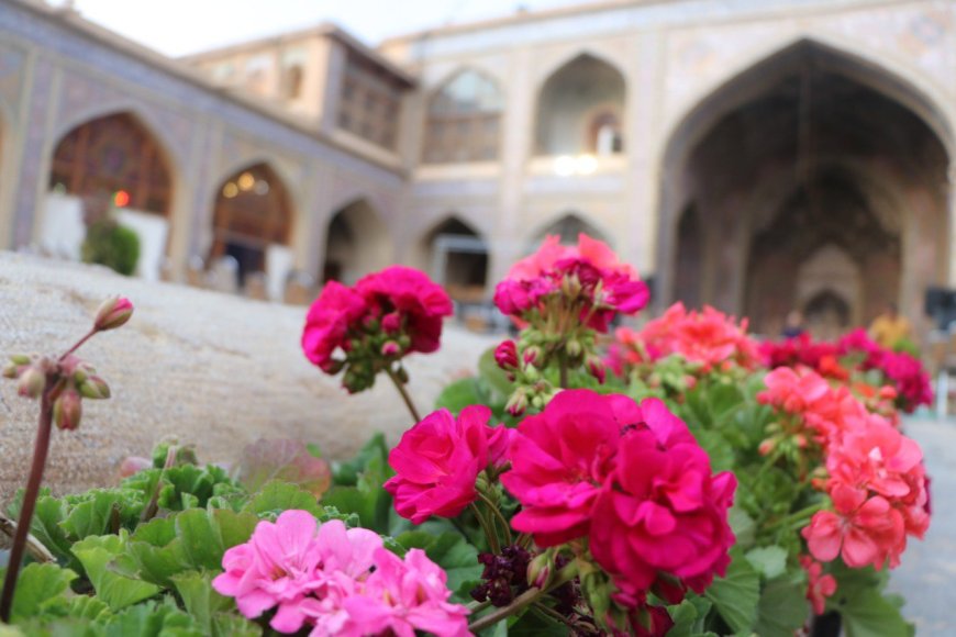 عکس| در شهر