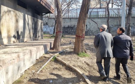 کنشگر محیط زیست: قرار است در پارک‌های تهران هتل بِروید یا چرخه رانت‌خواری بچرخد؟
