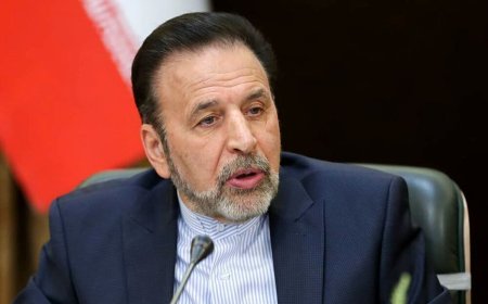 ببینید| روایت محمود واعظی از ماجرای عصر جمعه‌ای که ظریف و روحانی درباره هواپیمای اوکراینی خبردار شدند