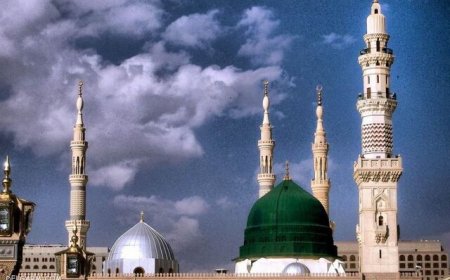 قلب سبز مدینه چگونه پاک‌سازی می‌شود؟