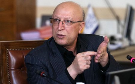 جزئیات اعلام خبر وقوع سانحه رئیس جمهور از زبان وزیر علوم در هیات دولت