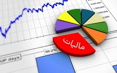 124 هزار نفر از فعالان اقتصادی فارس مشمول مالیات نشدند