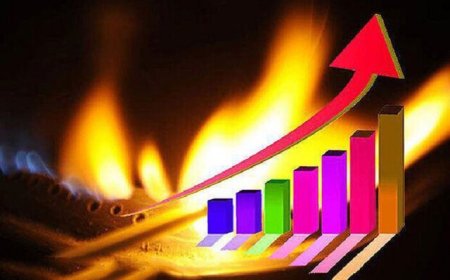 ‌افزایش چشمگیر میزان مصرف گاز در فارس‌