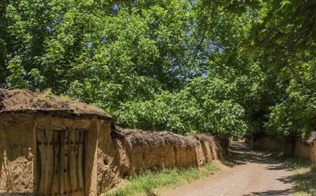 پای مشاور به بهره‌وری آب در باغات شیراز باز شد