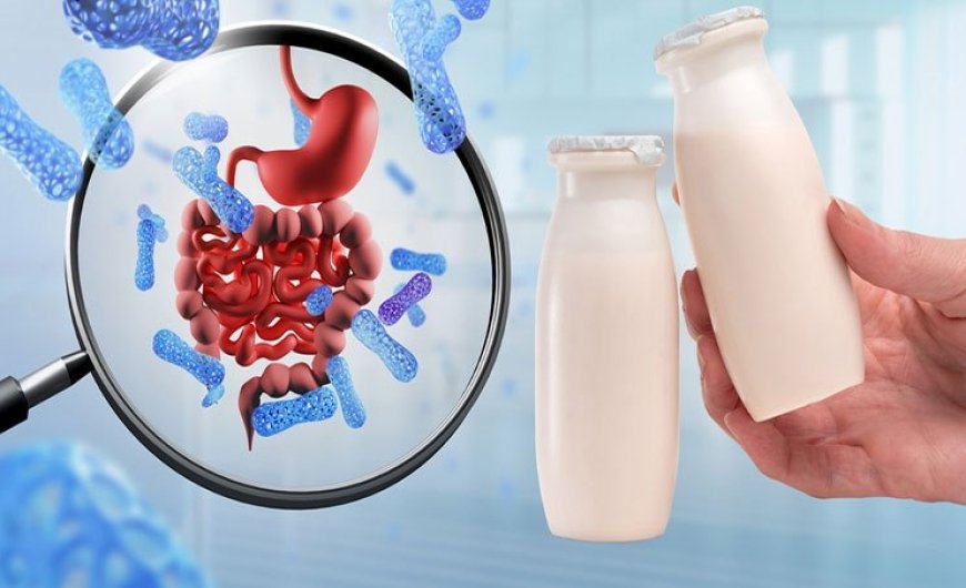 میکروب معده را با چه مواد غذایی از بین ببریم؟