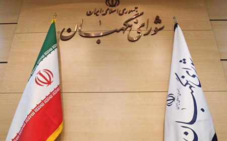 شورای نگهبان به توصیه رهبر انقلاب توجه می‌کند؟