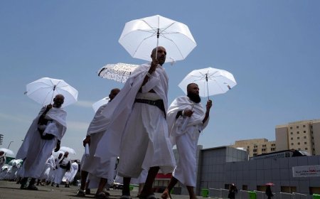 ۹۸۰ زائر در عربستان فوت کردند