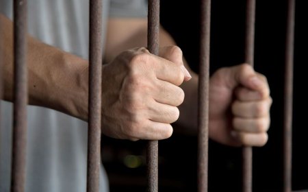 کلاهبردار فراری رمز ارز به کشور برگردانده شد