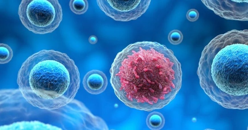 شیوع سرطان‌های نادر؛ نقش کووید۱۹ در این بیماری‌ها