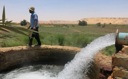 انعقاد بیش از ۲۷ هزار تفاهم‌نامه مدیریت مصرف برق با مشترکان کشاورزی فارس