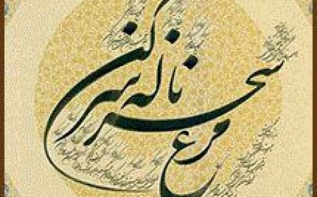 موسیقی شب| مرغ سحر