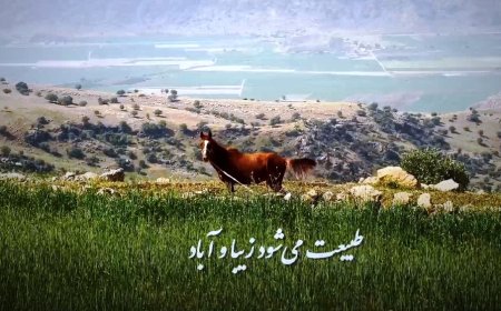 صدای پای آب ، کاری از شورای فرهنگی آب منطقه‌ای فارس