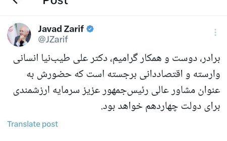 ظریف: طیب‌نیا اقتصاددانی برجسته است
