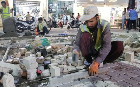گزارش تصویری - زیبا سازی مبلمان شهری توسط شهرداری شیراز