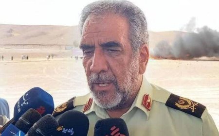 نوروزی، مخالف: با ارز ترجیحی و سلطان واردات چه کار می‌خواهید کنید؟