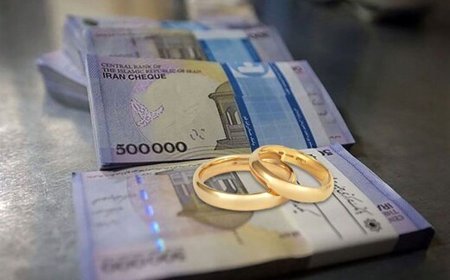 خبر خوش بانک مرکزی برای متقاضیان این ۲ وام/ اعتبار ۲ وام پرمتقاضی شارژ شد