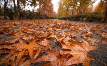 پاییز دیرتر از حد معمول آغاز می‌شود؟