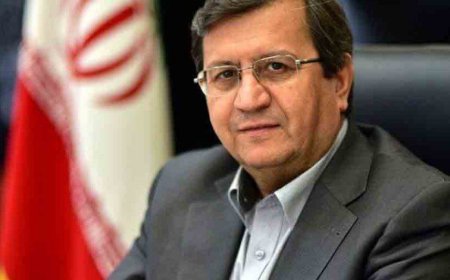 همتی: ناترازی بانک‌ها یکی از مهمترین مشکلات اقتصادی کشور است