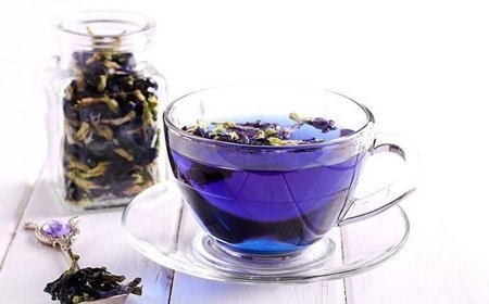 گل گاو زبان، ایرانی داریم و اروپایی
