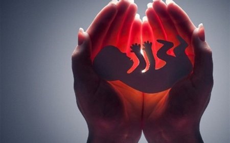 سقط جنین قبل از ۴ ماهگی هم قتل نفس است