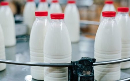 قیمت جدید شیر به زودی اعلام می‌شود