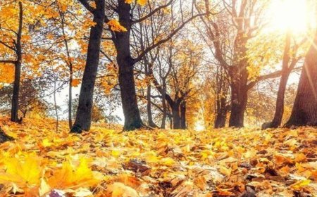 پاییز خشک و گرم در راه است