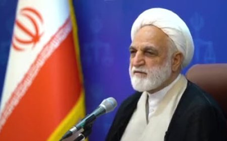 واکنش محسنی اژه‌ای درباره ممنوع الخروجی ها