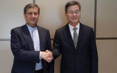 دیدار وزیر اقتصاد با وزیر دارایی چین