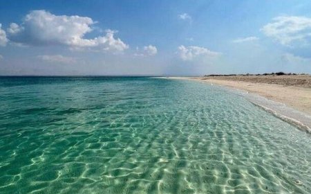 کاهش چشمگیر اکسیژن در خلیج فارس و دریای عمان