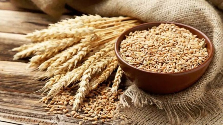 گندمکاران بخوانند/ قیمت واقعی گندم مشخص شد