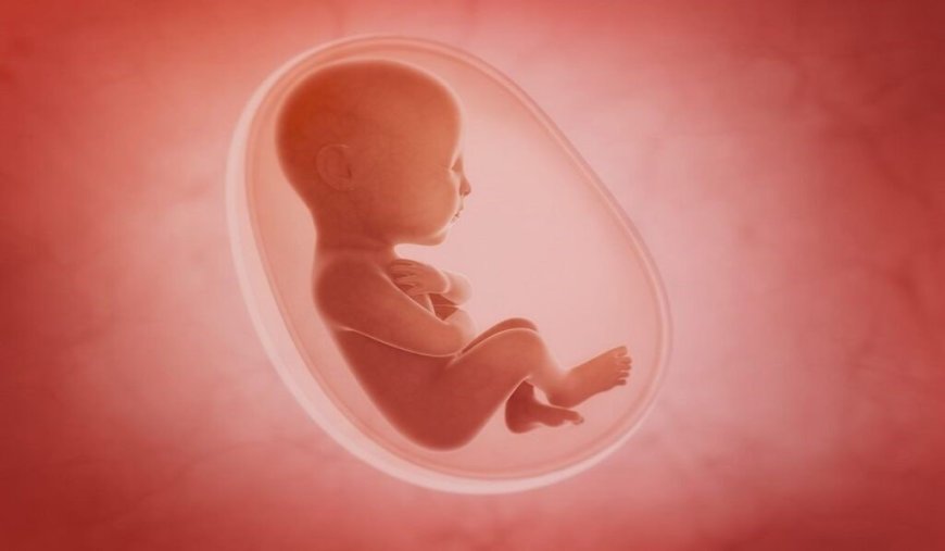 مبلغ سقط جنین غیرقانونی در ایران: 150 میلیون تومان!
