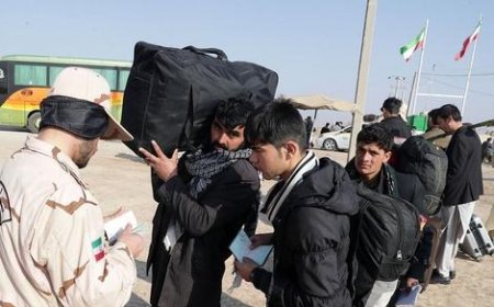جزئیاتی جدید از طرح ساماندهی اتباع خارجی
