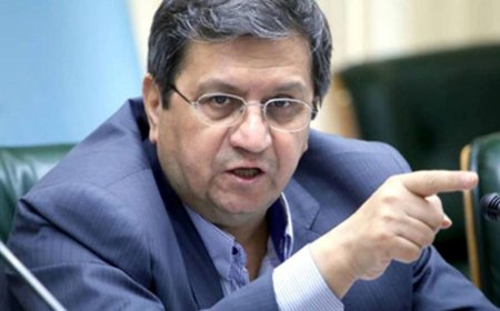 همتی: بودجه امسال کسری زیادی دارد/ در حال تامین بودجه عمومی کشور هستیم