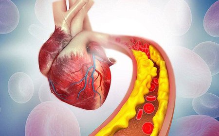 مهم‌ترین نشانه روغن ناسالم چیست؟