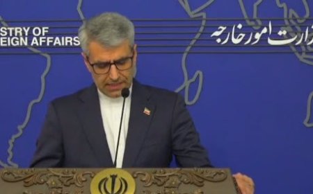 بقائی: دغدغه ایران توقف جنایت اسرائیل است