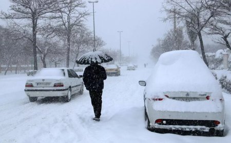 بارش اولین برف پائیزی مدارس اردبیل را تعطیل کرد