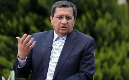 همتی: افزایش نرخ دلار بازار ارتباطی به دلار نیمایی ندارد!