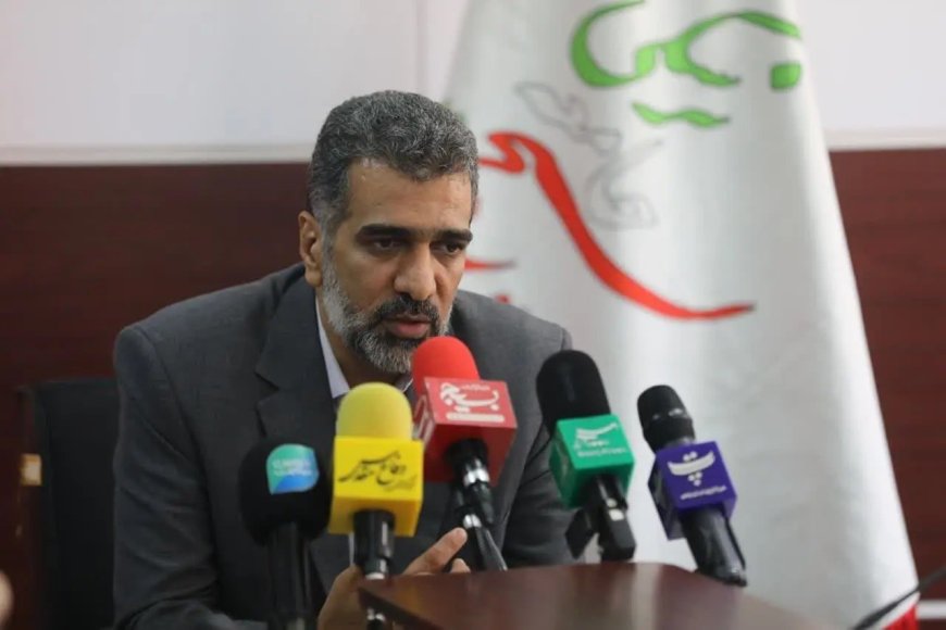 رئیس بسیج جامعه پزشکی: مشکلات اقتصادی دلیل عمده سقط جنین در ایران است