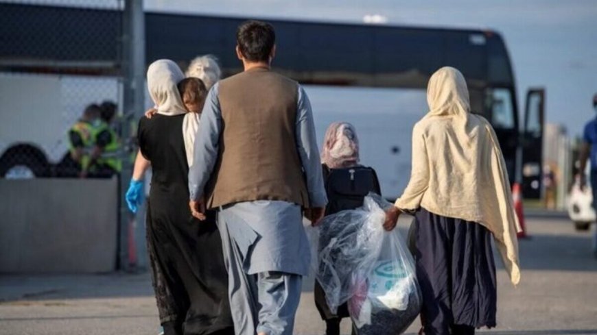 تناقص در آمار مهاجران؛ از ۵ تا ۸ میلیون نفر، بالاخره چند میلیون افغانستانی در ایران حضور دارند؟