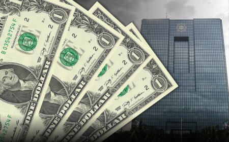 انتقاد فعالان بازار رمزارز از اقدام ناگهانی بانک مرکزی؛ تتر بر قیمت دلار تاثیری ندارد