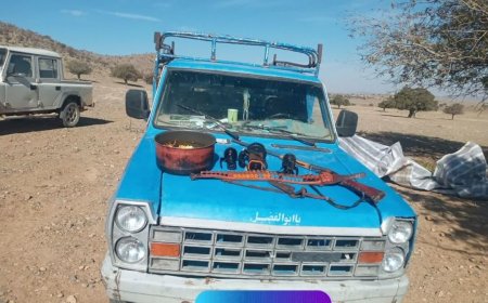 کباب  کبک از گلوی شکارچیان سرچهان فارس پایین نرفت