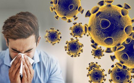 ویروس جدید سرماخوردگی؛ چگونه از ابتلا جلوگیری کنیم؟