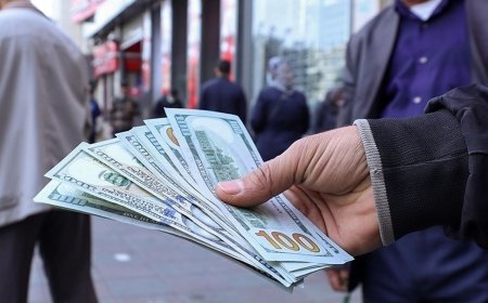 سیگنال مهم فرزین به قیمت دلار/ دلار در این محدوده قیمتی قرار می‌گیرد
